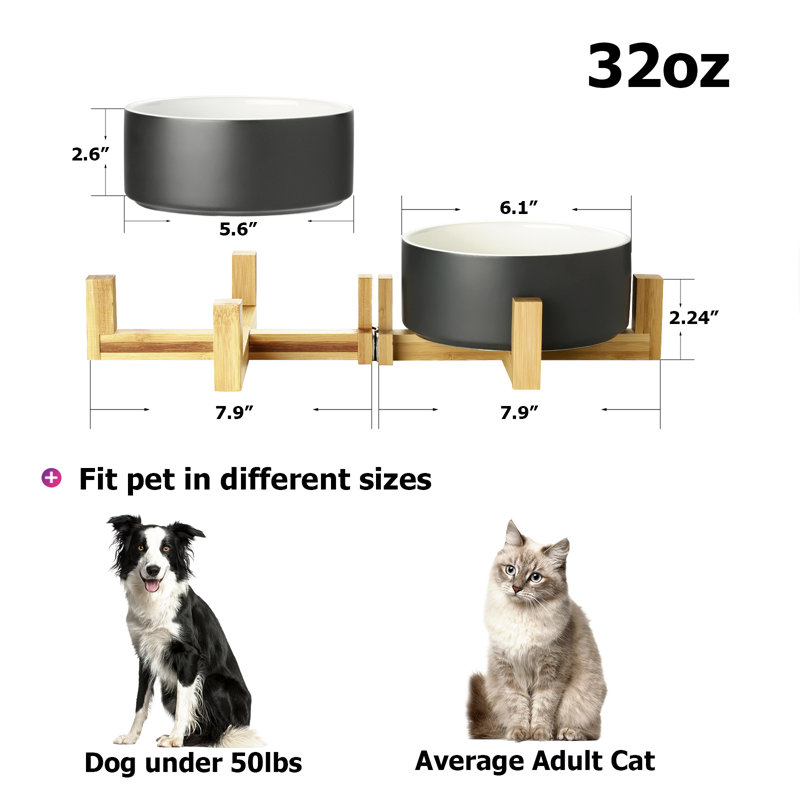 Y YHY Elevated Dog Bowl & Reviews Wayfair